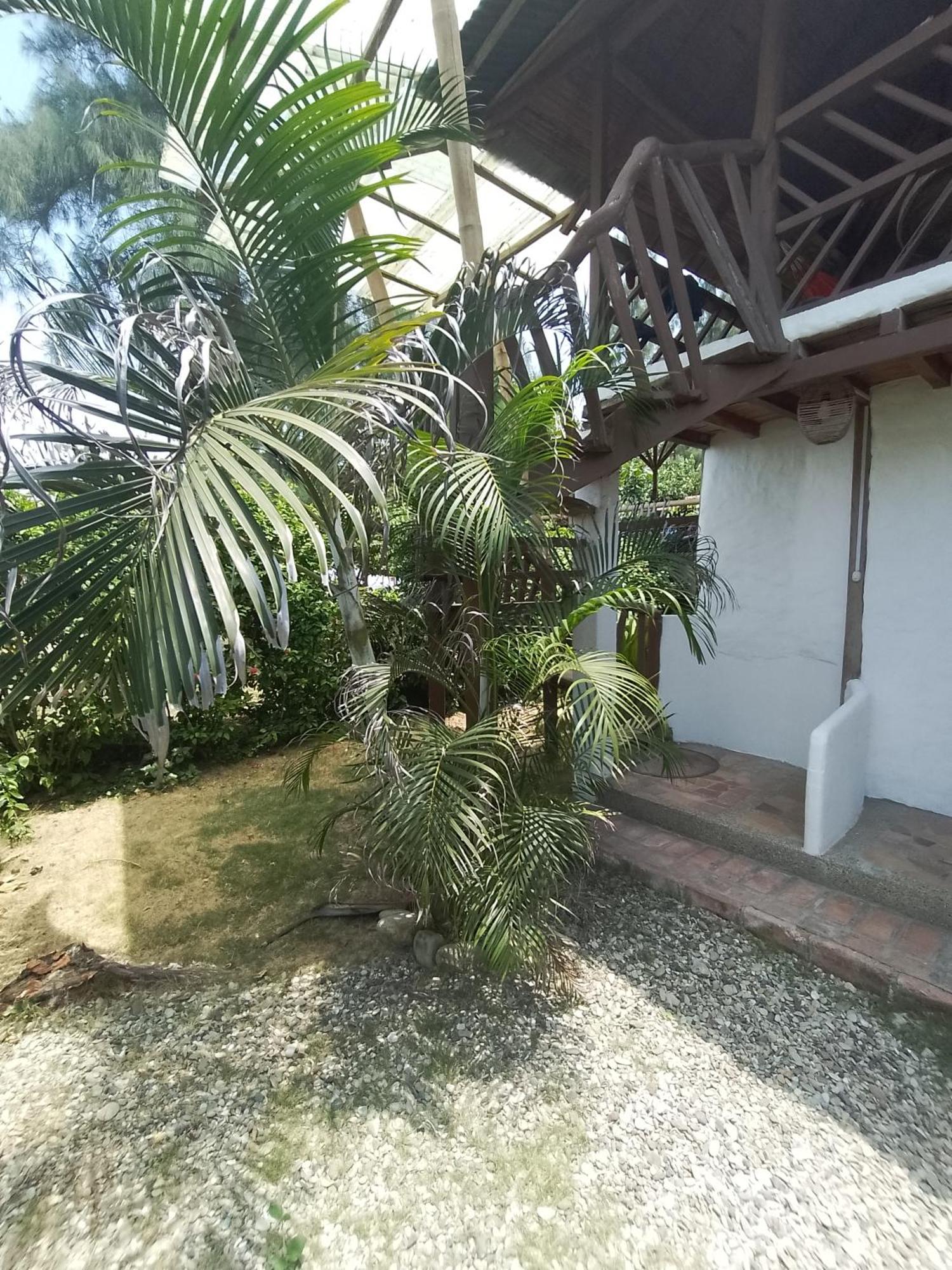 Hotel Palma Coco Ayampe Eksteriør billede