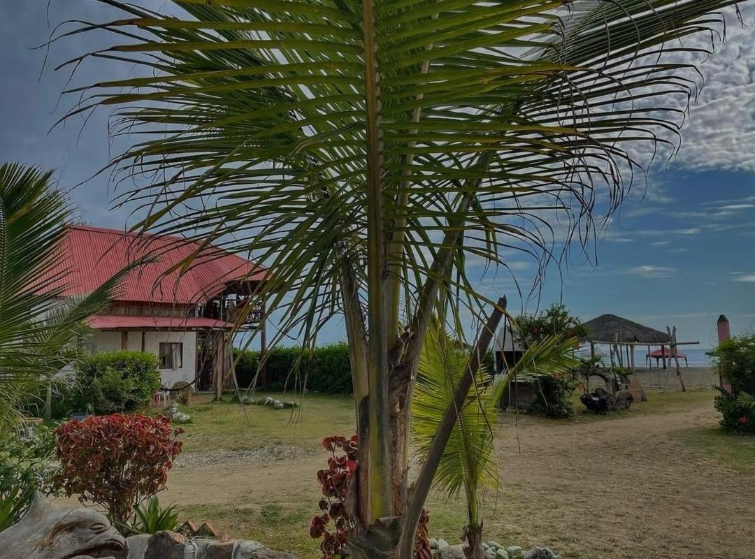 Hotel Palma Coco Ayampe Eksteriør billede